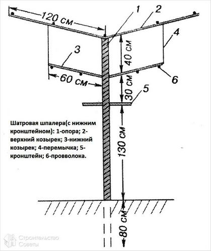 Шпалера своими руками - особенности конструкции и ее сооружение