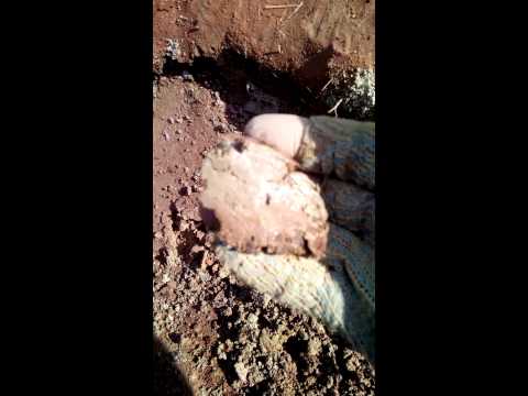 Скважина своими руками: фото, видео бурения (скважина, рука) Скважина своими руками: фото, видео бурения