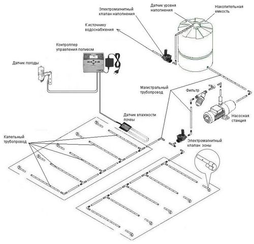 Автоматический полив своими руками. Делаем проект и монтаж.