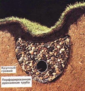 Дренаж участка: схема устройства, как сделать своими руками, материалы (дренажный, дренаж) Дренаж участка: схема устройства, как сделать своими руками, материалы