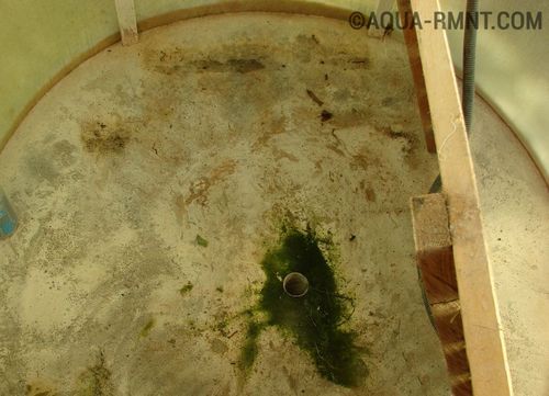 Душевая кабина из поликарбоната своими руками - инструкция с фото и видео (кабинка, душевая, поликарбоната) Душевая кабина из поликарбоната своими руками - инструкция с фото и видео