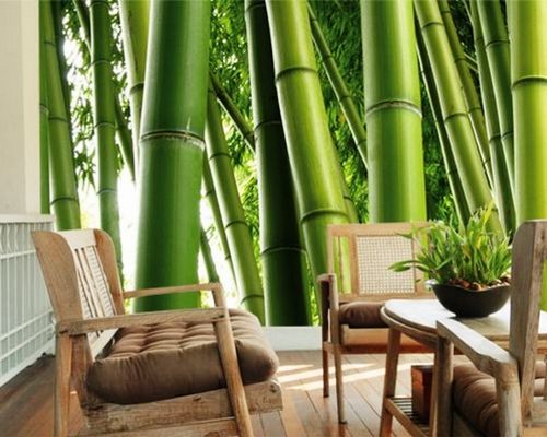 Фотообои «Бамбук»: экзотика в интерьере