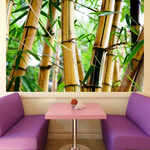 Фотообои «Бамбук»: экзотика в интерьере