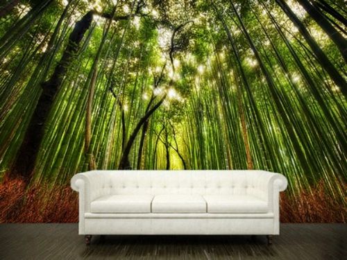 Фотообои «Лес»: идеальный эко-декор для стен