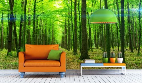 Фотообои по фен-шуй: практические советы по выбору (цвет, изображение, фен) Фотообои по фен-шуй: практические советы по выбору