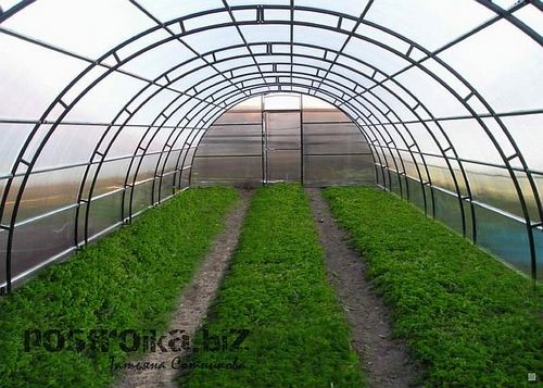 Фундамент под теплицу из поликарбоната своими руками (теплица, фундамент) Фундамент под теплицу из поликарбоната своими руками