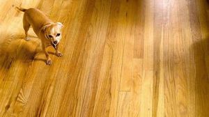 Как сделать звукоизоляцию пола в квартире своими руками (звукоизоляция, пол) Как сделать звукоизоляцию пола в квартире своими руками