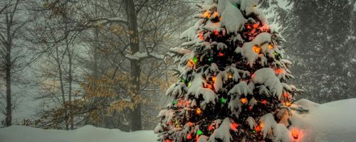 Как украсить участок на новогодние праздники (участок, украсить) Как украсить участок на новогодние праздники