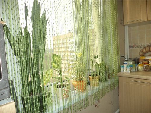 Как выбрать шторы для кухни? Фото, новинки дизайна. (штора, кухня, ткань) Как выбрать шторы для кухни? Фото, новинки дизайна.