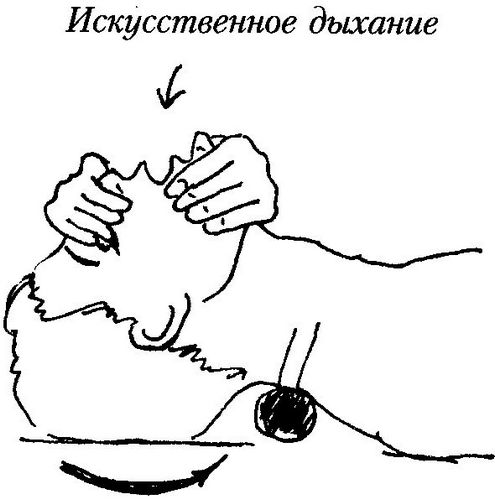 Как выполнить, оказание первой помощи при поражении электрическим током (пострадавший, ток) Как выполнить, оказание первой помощи при поражении электрическим током