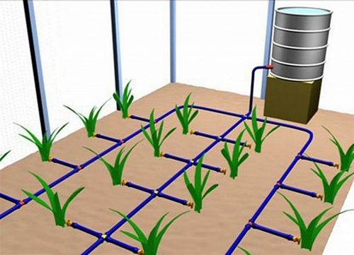 Капельный полив в теплице! Особенности, виды и характеристики систем автополива