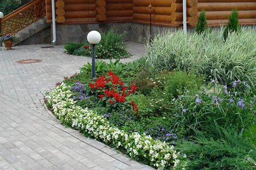 Клумба на даче своими руками (клумба, растение) Клумба на даче своими руками