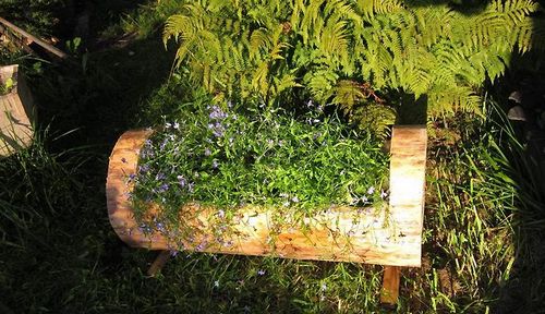 Клумба на даче своими руками (клумба, растение) Клумба на даче своими руками
