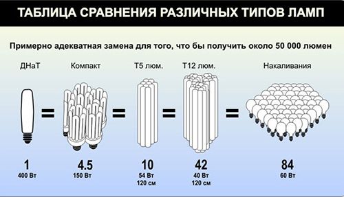 Натриевая лампа для теплиц: достоинства, схема подключения (лампа, растение, теплица) Натриевая лампа для теплиц: достоинства, схема подключения