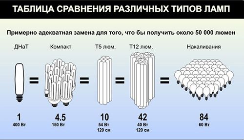 Натриевая лампа для теплиц: достоинства, схема подключения