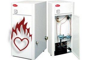 Обзор технических характеристик газовых котлов Данко - (котел, газовый) Обзор технических характеристик газовых котлов Данко -