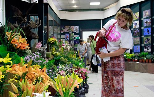 Правила пересадки лилий осенью (лилия, осень) Правила пересадки лилий осенью