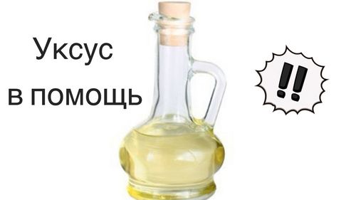 Способы устранения запаха с ковра (запах, ковер) Способы устранения запаха с ковра