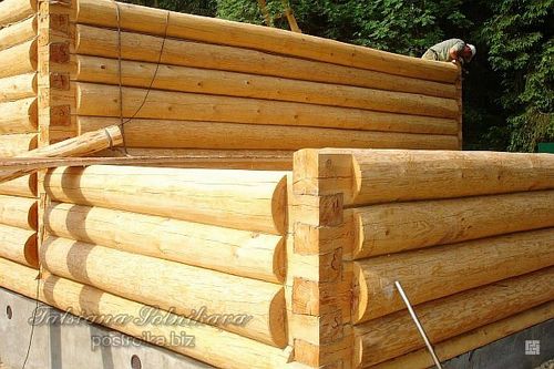 Сруб бани из оцилиндрованного бревна: как это делается?