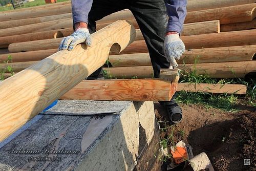 Сруб бани из оцилиндрованного бревна: как это делается?