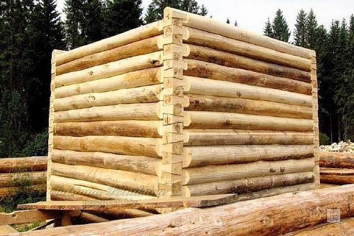 Сруб бани из оцилиндрованного бревна: как это делается?