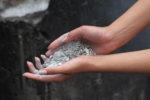 Уход за вишней (дерево, вишня, почва) Уход за вишней