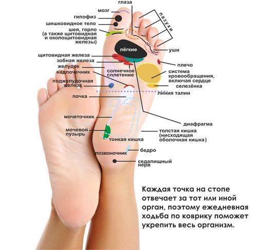 Виды массажных ковриков ортопедических для ног (коврик, массажный, дитя) Виды массажных ковриков ортопедических для ног