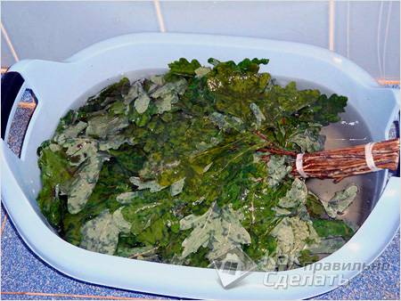 Заготовка веников для бани - банные Веники (веник, ветка, баня) Заготовка веников для бани - банные Веники