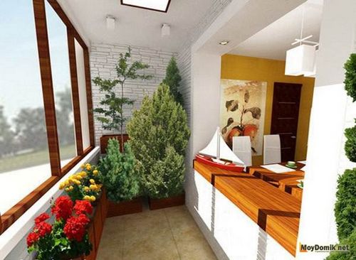 Зимний сад в квартире своими руками – на балконе и лоджии   фото