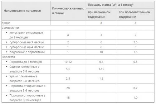 Строительство свинарника в домашних условиях + фото, видео