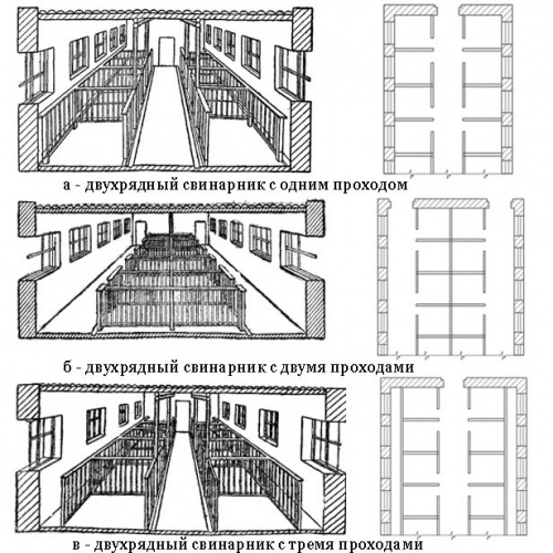 Строительство свинарника в домашних условиях + фото, видео