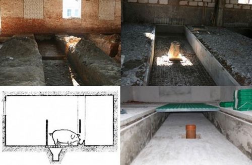 Строительство свинарника в домашних условиях + фото, видео (свинарник, строительство) Строительство свинарника в домашних условиях + фото, видео
