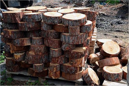 Тропинка на даче своими руками - дорожки на даче из кирпича, натурального камня, дерева (+схемы) (дорожка, тропинка) Тропинка на даче своими руками - дорожки на даче из кирпича, натурального камня, дерева (+схемы)