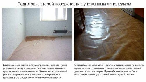 Укладка ламината на линолеум: подготовка, технология, видео (линолеум, укладка) Укладка ламината на линолеум: подготовка, технология, видео