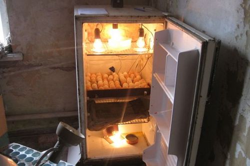 Утилизация холодильников: как расстаться с ненужным агрегатом