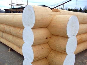 Выбираем древесину для строительства дома