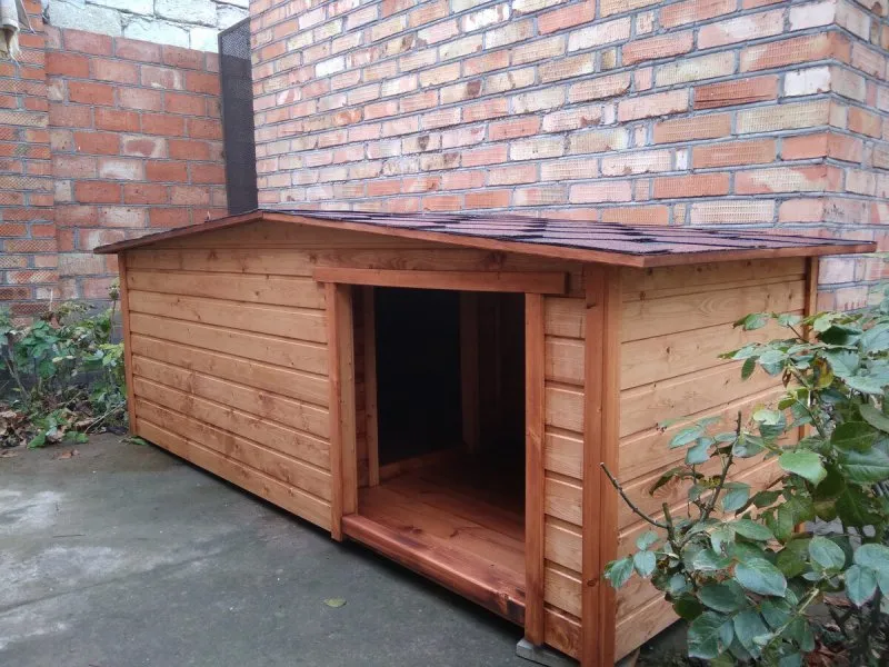Собачья будка с односкатной крышей