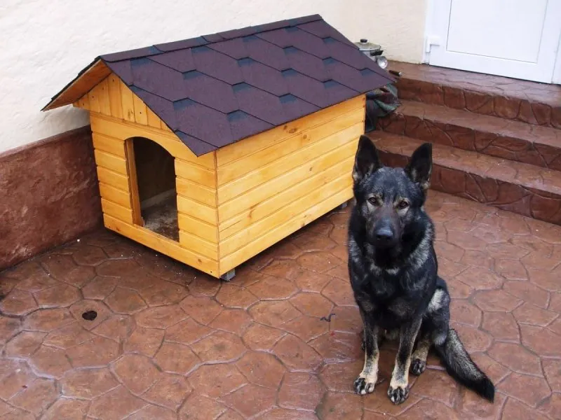 Постройка будки для собаки