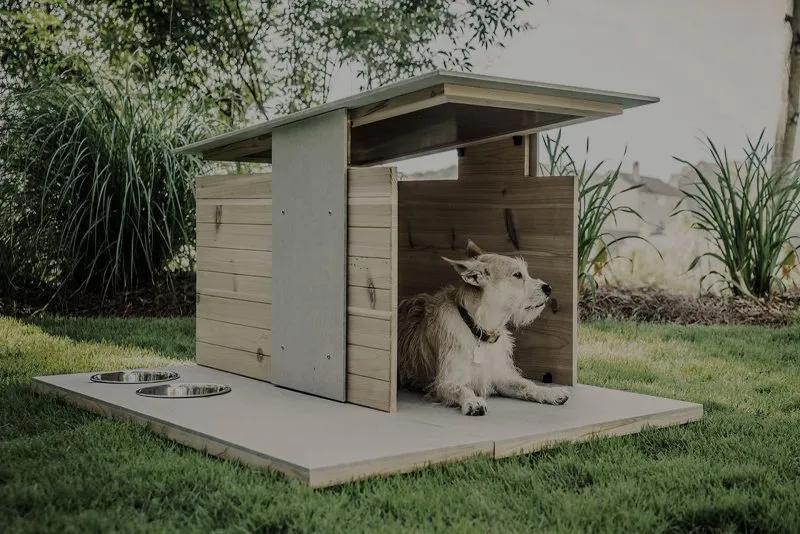 Проект зимней будки для собаки