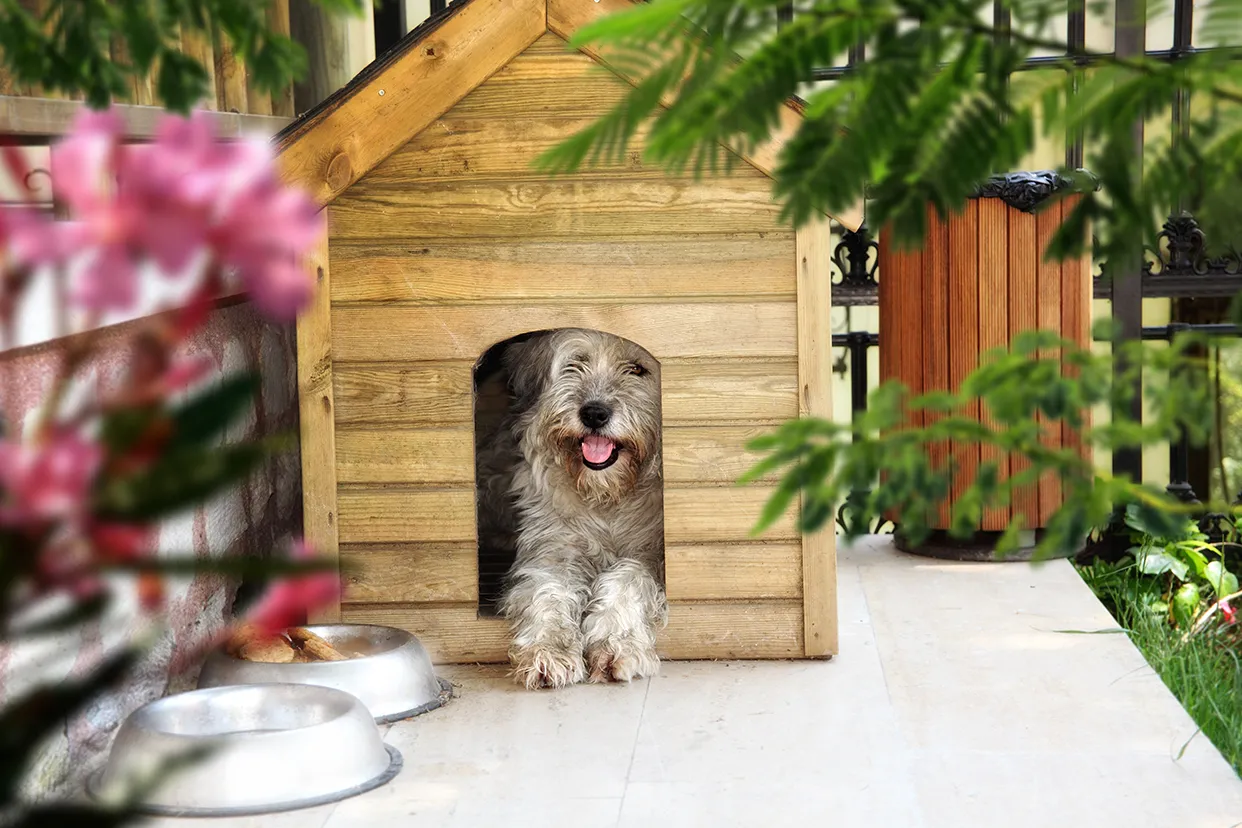 Будка для собаки деревянная