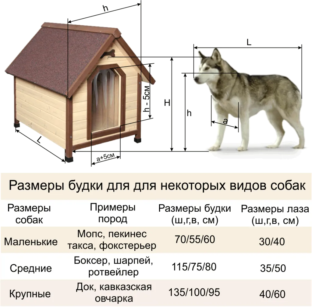 Примерные размеры конуры для собаки