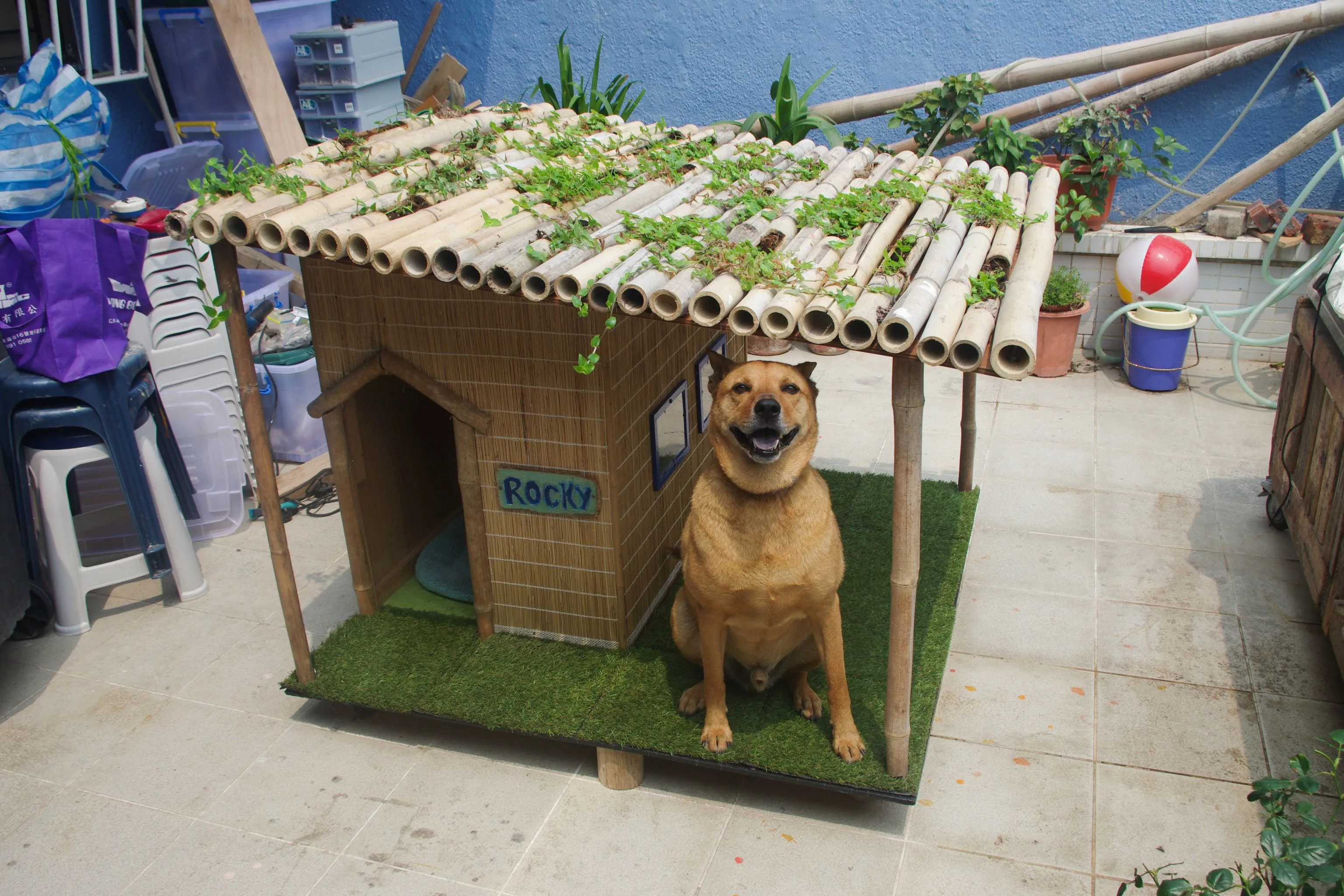 Будка для собаки из бамбука