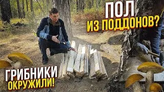 ЗЕМЛЯНКА В ЛЕСУ преображается, ГРИБной сезон, ПОЛ из поддонов, Шашлыки - Shelter in forest, DIY