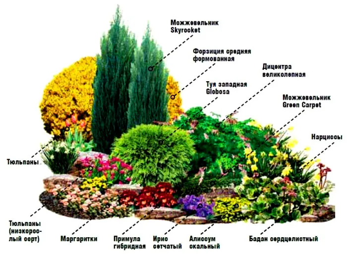 Есть много готовых схем клумб. Вопрос, подходят ли растения для выращивания именно на вашем участке Есть много готовых схем клумб. Вопрос, подходят ли растения для выращивания именно на вашем участке