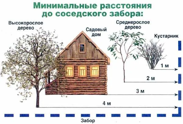 Сколько метров от забора можно строить дом по закону