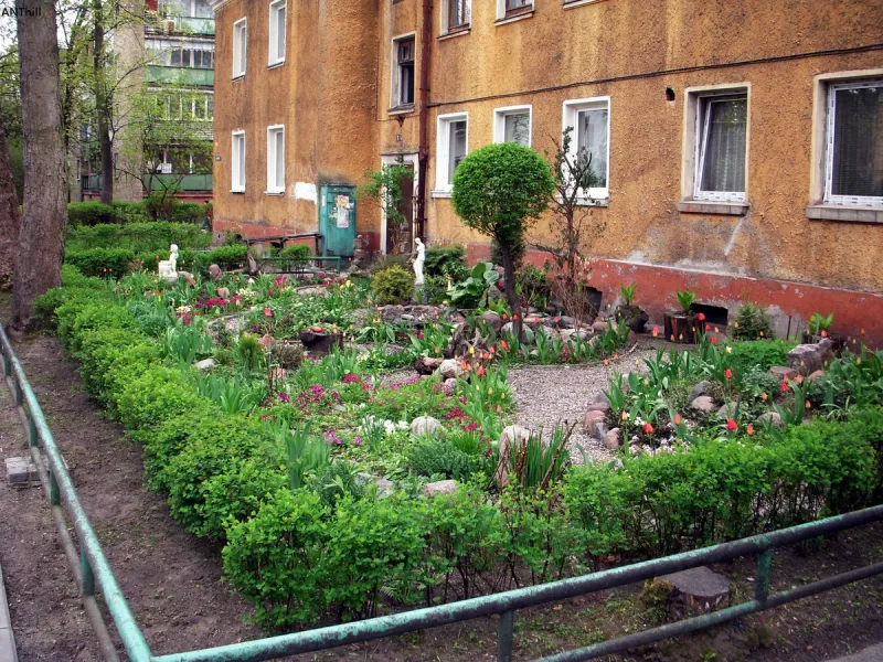 Северное Бутово лучший двор палисадник