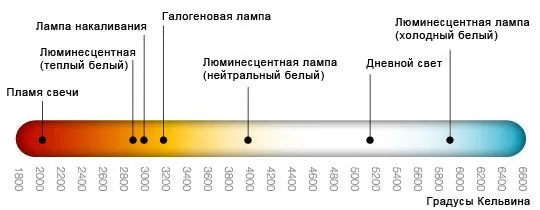 Шкала