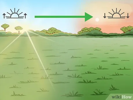 Изображение с названием Build a Greenhouse Step 2