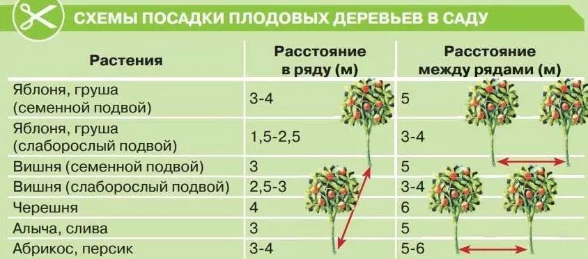 горизонтальная схема посадки подходит для сада на холме схема посадки плодовых деревьев