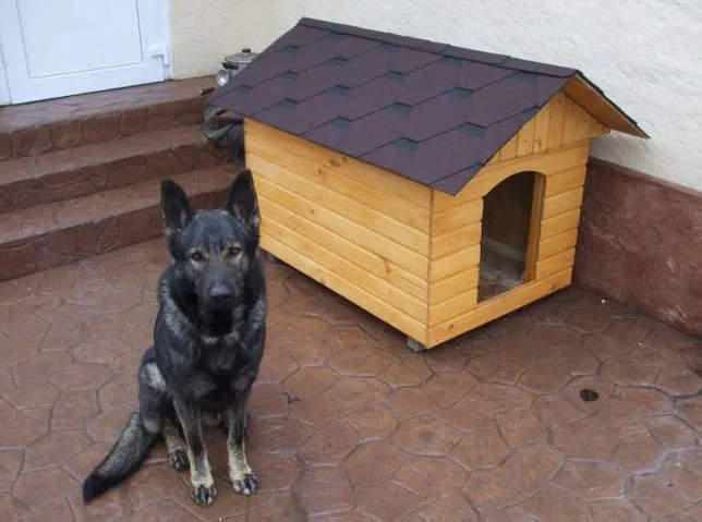 Будка для собаки (53 фото): требуемые материалы и красивые дизайны